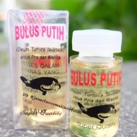 Jual MINYAK BULUS ASLI PENGENCANG PAYUDARA PUTIH KALIMANTAN ORIGINAL Murah