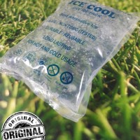 Jual ice Gel besar, Pengganti freezer, Pendingin Box Uk 15 x 20