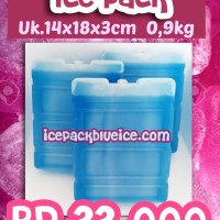 ICE PACK SEDANG GARIS -Blue es Pack - Ice Pack Cool - freezer portable