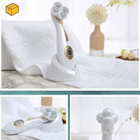 Instrumen alat Kecantikan setrika wajah penetrasi serum RF & EMS messo