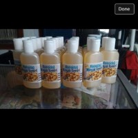 TERBARU minyak kemiri momoidea