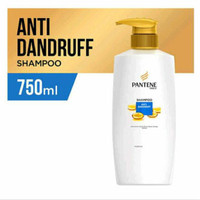 Pantene Shampo Anti Dandruff 750ml