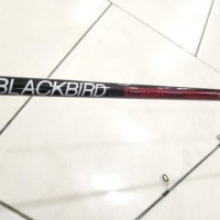 Joran Pancing Maguro Blackbird 135