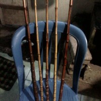 Bambu Cendani Jenis Gm (Istimewa). Batang Joran Pancing Kolaman.