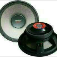 Speaker 15 inch ACR 15900 PREMIER 15