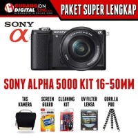 Sony ILCE 5000L 16-50mm f3.5-5.6 OSS + Sony SDHC 8GB 15MB/s