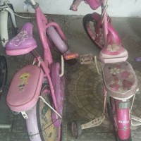 Sepeda Anak Merk Family (Bekas)