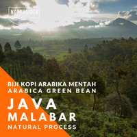 Jual KOPI ARABIKA JAVA MALABAR NATURAL BIJI MENTAH (GREEN BEAN) ARABICA) Murah