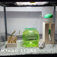 Terarium Kandang Hamster Simple lucu