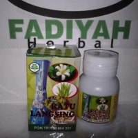 Ratu Langsing - Super Diet Alami