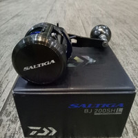 jual rel ril rell riel Reel Pancing Daiwa Saltiga BJ200SHL 10+1BB
