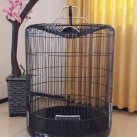 Jual Sangkar Burung Murai Batu Murah Harga Terbaru 2020 Tokopedia