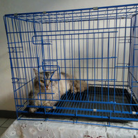 Kandang besi tebal cocok untuk anjing kucing musang dan kelinci
