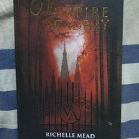 Novel Vampire Academy by Richelle Mead