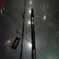 Joran Daiwa Saltist Bottom Comander 582MH S