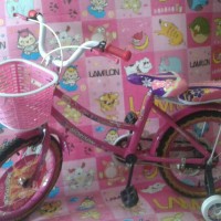 Sepeda roda dua anak mini 16