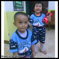 Promo! Baju Setelan Anak Shark Stelan Pakaian Anak Bayi Keren Murah