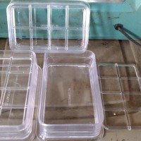 tempat pakan mika elite kandang koloni lovebird kenari DISKON