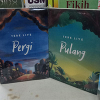 pergi dan pulang novel tere liye