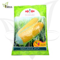 Bibit Jagung Manis Hibrida Secada F1 200 gr Cap Panah Merah
