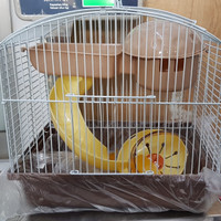 Kandang hamster lucu 2 tingkat import high quality