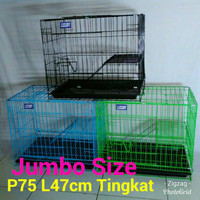 Kandang Kucing-Anjing Tingkat Large Biru