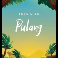 Novel Pulang ( Tere Liye )