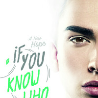 buku novel Novel if you know who