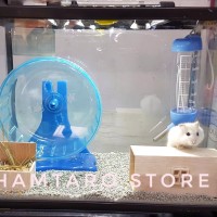 Terarium Kandang Hamster hampot unik untuk robo winter syirian