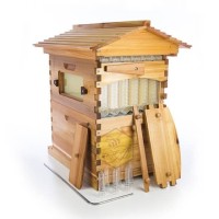 Flowhive Kotak Kandang Lebah Tawon Flow Hive 10 frame Langstroth