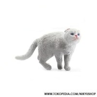 Info Scottish Fold Katalog.or.id Info Scottish Fold Katalog.or.id