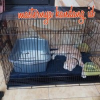 KANDANG BESI LIPAT U/ KUCING, KELINCI, UMBAR/TERNAK BURUNG & LAINNYA