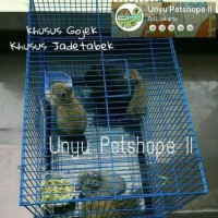 Kandang Kucing Burung Kelinci Hamster Size M Berkualitas