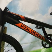 SEPEDA POLYGON BLIZZARD BMX 20 INCH ALLOY FRAME FREESTYLE Terlaris