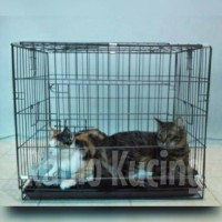 High Quality Kandang Kucing/Anjing/Guinea Pig/Kelinci Murah Bandung
