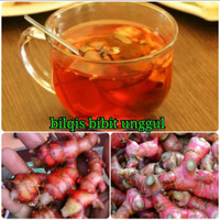 Benih/Bibit jahe merah unggul 1kg