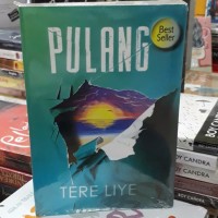NOVEL PULANG TERE LIYE Rzk