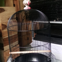 KANDANG BESI JUMBO (D40xT90cm) U/ LOVEBIRD, FALK, NURI, BETET, DLL