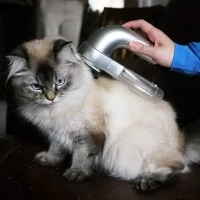 Pembersih Bulu Hewan Peliharaan Vacuum Bulu Anjing Kucing Elektrik