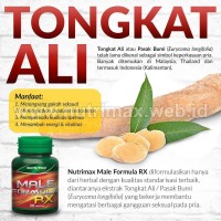 Jual Nutrimax Male Formula Rx Obat Herbal Untuk Kuat Pria Lelaki Perkasa Jakarta Utara Nutrimax Online Tokopedia