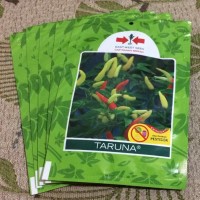 Jual 10 gram Benih Bibit Cabe TARUNA Cabai Rawit cap Pa Berkualitas