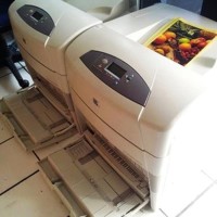 Hp Laserjet Colour 5500 A3/Printer A3+/Printer Laserjet khusus