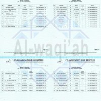 New Promo Minyak Zaitun Tursina / Minyak Zaitun Konsumsi / Import Arab