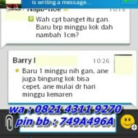 Hot Seller Minyak Pembesar Alat Vital Noe (Natural Oil Enlargement)