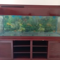 Aquarium 2 Meter Dengan Meja Kayu Semi Klasik
