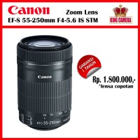 Canon EF-S 55-250mm F4-5.6 IS STM zoom lensa copotan