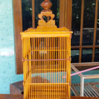 Sangkar burung kandang burung pleci cucak ijo kenari murai batu