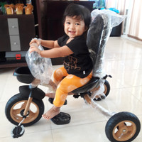Sepeda Roda 3 fungsi 4in1. Untuk anak usia 10bln sd. 5thn.
