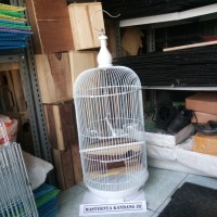 KANDANG BESI MODEL KAPSUL + GELODOK U/ TERNAK BURUNG LOVEBIRD / PARKIT