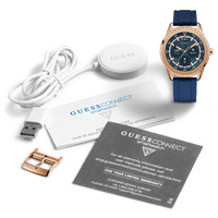 guess c1002m2